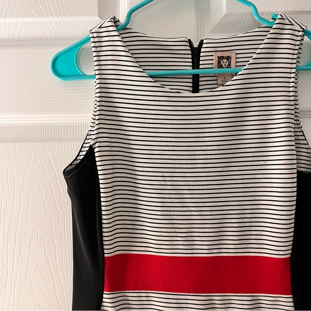 Chic Striped Black and White Dress